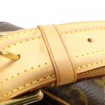 Louis_Vuitton_Monogram_Viva_Cite_GM_M51163_Shoulder_Bag_5