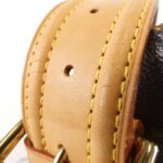 Louis_Vuitton_Monogram_Viva_Cite_GM_M51163_Shoulder_Bag_6