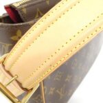 Louis_Vuitton_Monogram_Viva_Cite_GM_M51163_Shoulder_Bag_7