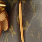 Louis_Vuitton_Monogram_Viva_Cite_MM_M51164_Shoulder_Bag_6