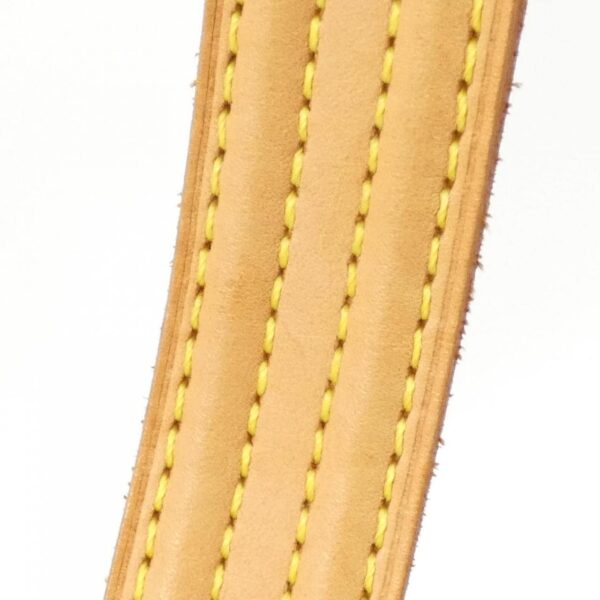 Louis_Vuitton_Monogram_Viva_Cite_MM_M51164_Shoulder_Bag_9