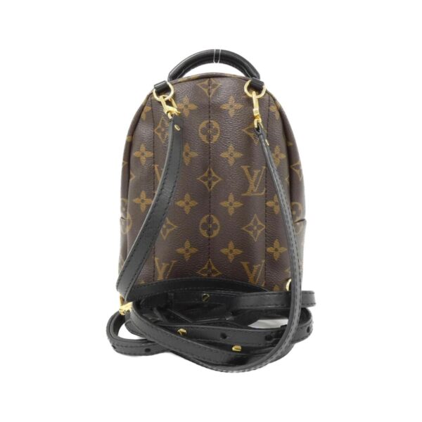 Louis_Vuitton_Monogram_World_Tour_Palm_Springs_Backpack_MINI_M42971_Backpack_2