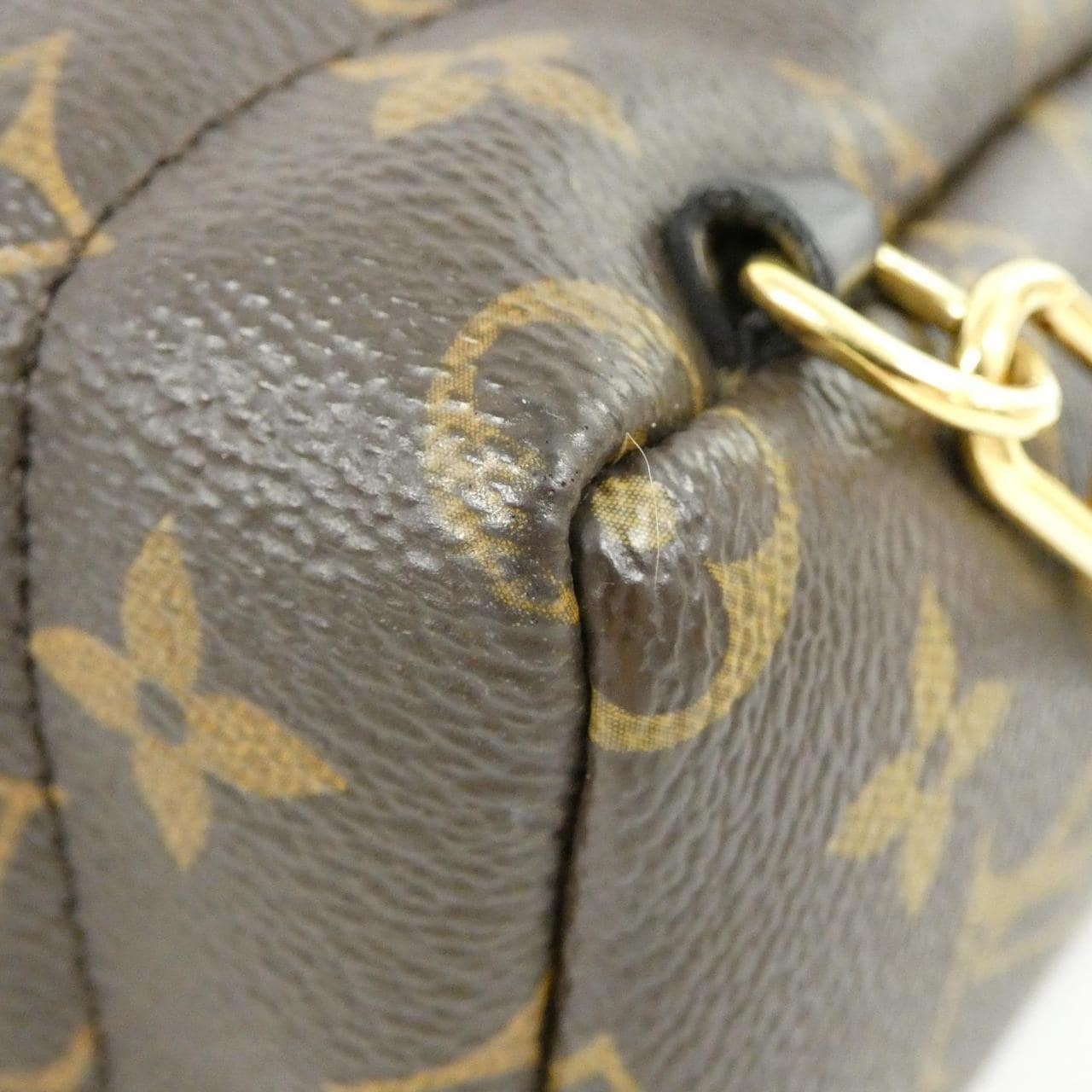 Louis_Vuitton_Monogram_World_Tour_Palm_Springs_Backpack_MINI_M42971_Backpack_3