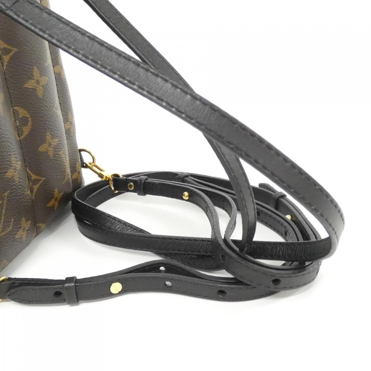 Louis_Vuitton_Monogram_World_Tour_Palm_Springs_Backpack_MINI_M42971_Backpack_7