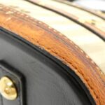 Louis_Vuitton_Trompe-l'œil_Alma_PM_M52348_Bag_3