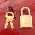 Louis_Vuitton_Vernis_Alma_GM_M93596_Bag_6