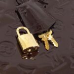 Louis_Vuitton_Vernis_Alma_PM_M91611_Bag_6