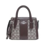 [New]_Coach_CT766_Bag_1