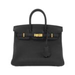 [Unused]_Hermes_Birkin_25cm_041344CC_Bag_1