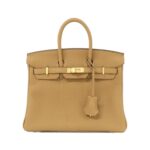 [Unused]_Hermes_Birkin_25cm_041344CC_Bag_1