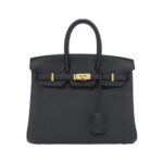 [Unused]_Hermes_Birkin_25cm_041344CC_Bag_1