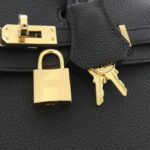 [Unused]_Hermes_Birkin_25cm_041344CC_Bag_4