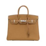 [Unused]_Hermes_Birkin_25cm_041344CK_Bag_1