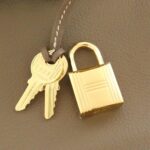 [Unused]_Hermes_Birkin_Shoulder_Light_29cm_086230CC_Bag_5