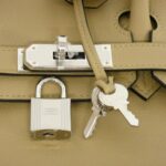 [Unused]_Hermes_Birkin_Shoulder_Light_29cm_086230CK_Bag_4