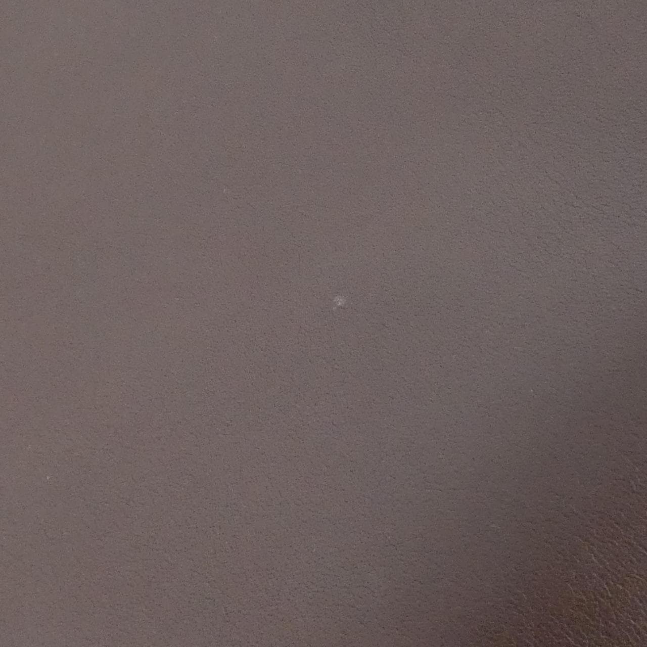 [Vintage]_Coach_4150_Shoulder_Bag_6