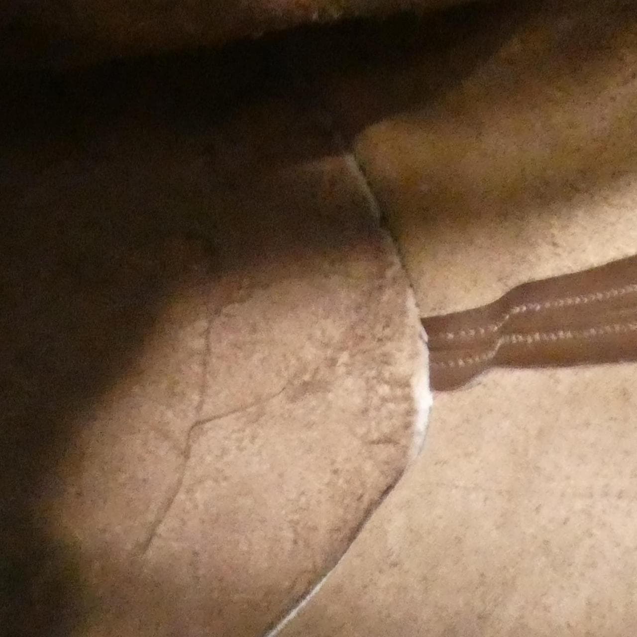 [Vintage]_Coach_9992_Shoulder_Bag_10