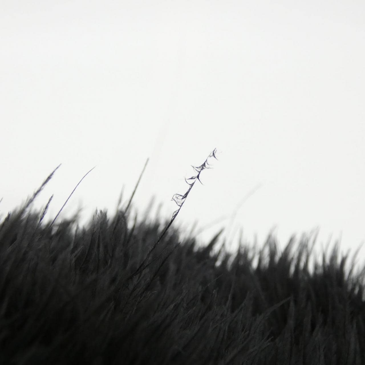 [Vintage]_Gucci_005_781_0710_Bag_5