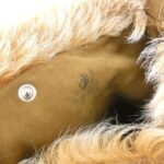 [Vintage]_Hermes_Toudou_Shoulder_Bag_8