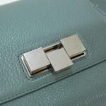 Bottega_Veneta_631117_VA971_Waist_Bag_5