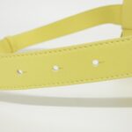 Bottega_Veneta_639367_VMAY1_Waist_Bag_6