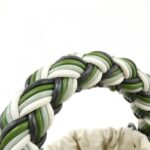 Bottega_Veneta_Bag_4