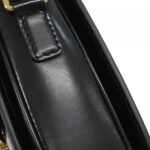 Celine_Classic_Triomphe_187363BF4_Shoulder_Bag_4