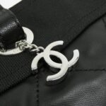 Chanel_Paris-Biarritz_Line_34208_手袋_3