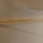 Chanel_Travel_Line_15991_手袋_9