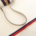 Gucci_Sylvie_421882_CVLEG_肩背袋_4