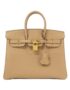 Hermès_Birkin_25cm_041344CC_Bag_0