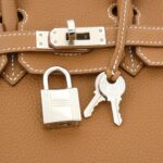 Hermès_Birkin_25cm_041344CK_Bag_6