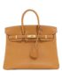 Hermès_Birkin_25cm_手袋_0