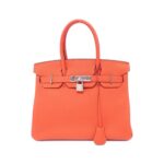 Hermès_Birkin_30cm_030520CK_Bag_1