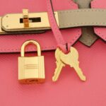 Hermes_Birkin_30cm_Bag_5