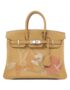 Hermès_Birkin_In_and_Out_25cm_Bag_0