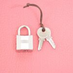 Hermès_Picotin_Lock_PM_056289CK_Bag_3