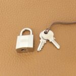 Hermès_Picotin_Lock_PM_056289CK_Bag_3