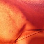 Hermès_Picotin_Lock_Touch_MM_068670CK_Bag_7