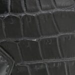 Hermes_Plume_40cm_Bag_4