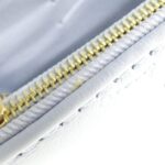 Louis_Vuitton_Bubblegram_Wallet_on_Strap_M81399_Shoulder_Bag_8