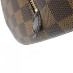 Louis_Vuitton_Damier_Liberte_MM_N41434_Bag_3