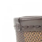 Louis_Vuitton_Damier_Neverfull_PM_N41359_Bag_3