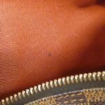 Louis_Vuitton_Damier_Papillon_30cm_N51303_Bag_7