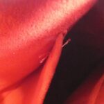 Louis_Vuitton_Damier_Ravello_GM_N60006+J03000_肩背袋_8