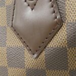 Louis_Vuitton_Damier_Saleya_PM_N51183_Bag_6