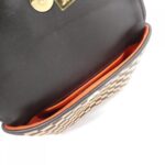 Louis_Vuitton_Damier_Sauvage_Gazelle_M92130_Shoulder_Bag_6