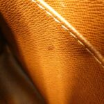 Louis_Vuitton_Monogram_Amazon_M45236_Shoulder_Bag_10