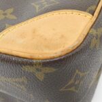 Louis_Vuitton_Monogram_Amazon_M45236_Shoulder_Bag_3
