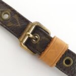 Louis_Vuitton_Monogram_Amazon_M45236_Shoulder_Bag_7